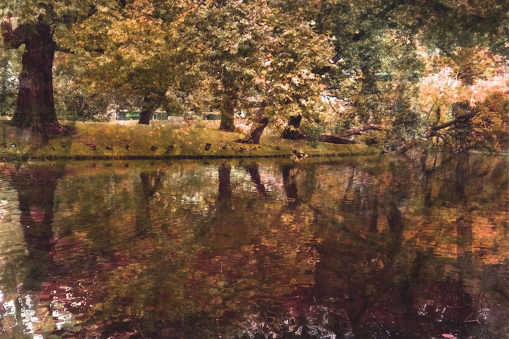 Multiple exposure of autumn canal with tree reflections, figures in Dutch park, memory collage