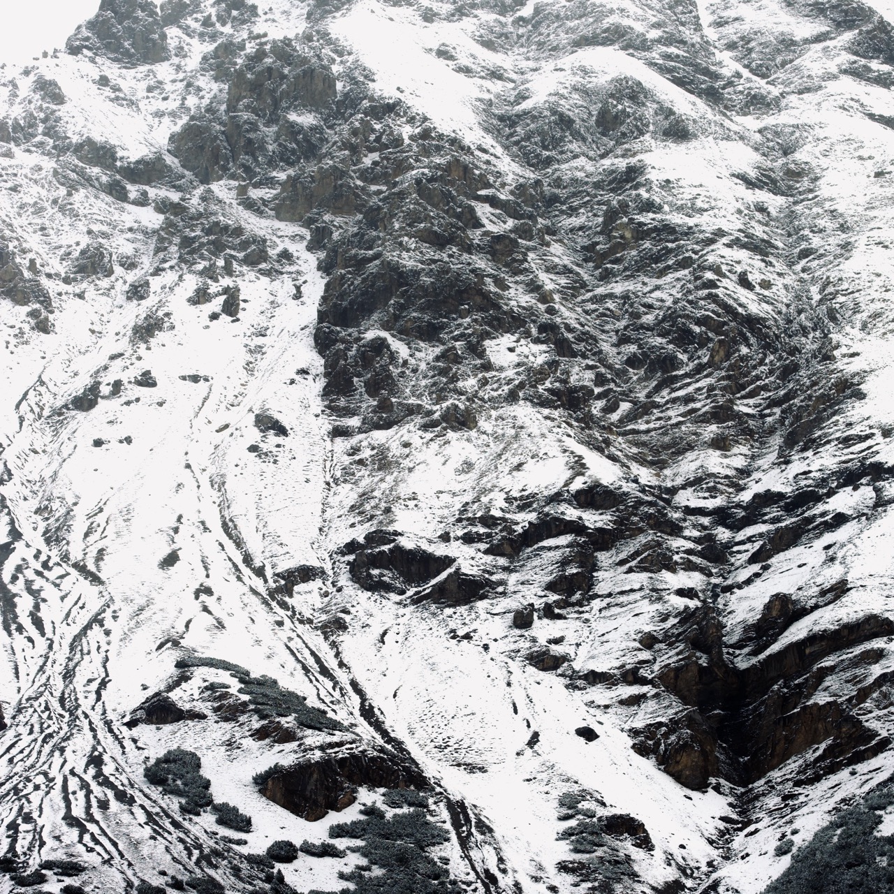Abstract detail shot of ice, snow and rock, Dolomites, digital photography, 2024