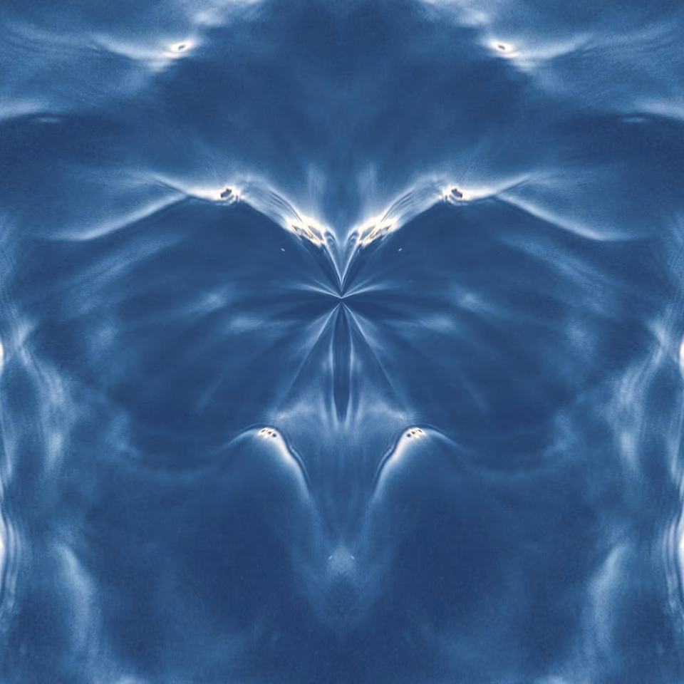 4 Butterflies No.1, symmetrical sea reflection, multiple exposure digital media