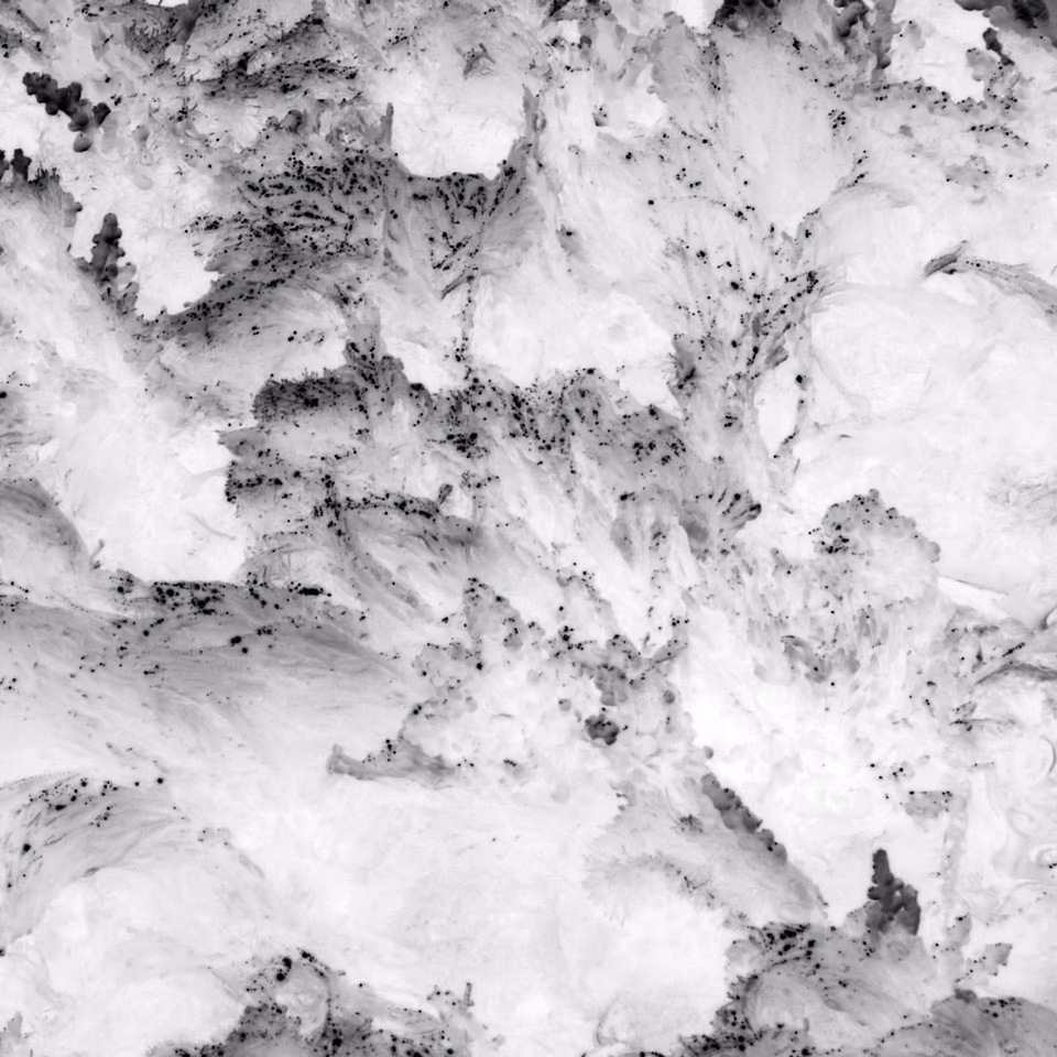 abstract digital media photograph, black and white, arbang, spazzju kreattiv, malta