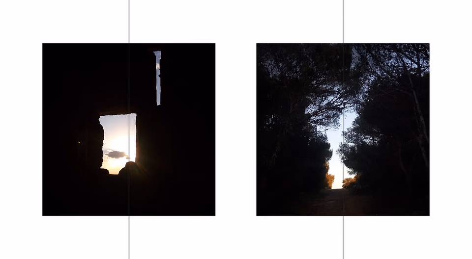 Trees silhouetted against burst of light, decentred night photograph