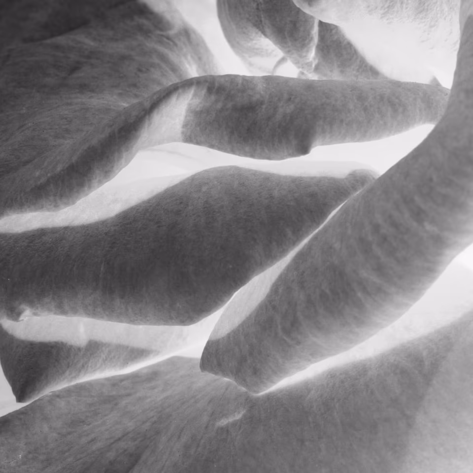 abstract digital media photograph, black and white, arbang, spazzju kreattiv, malta