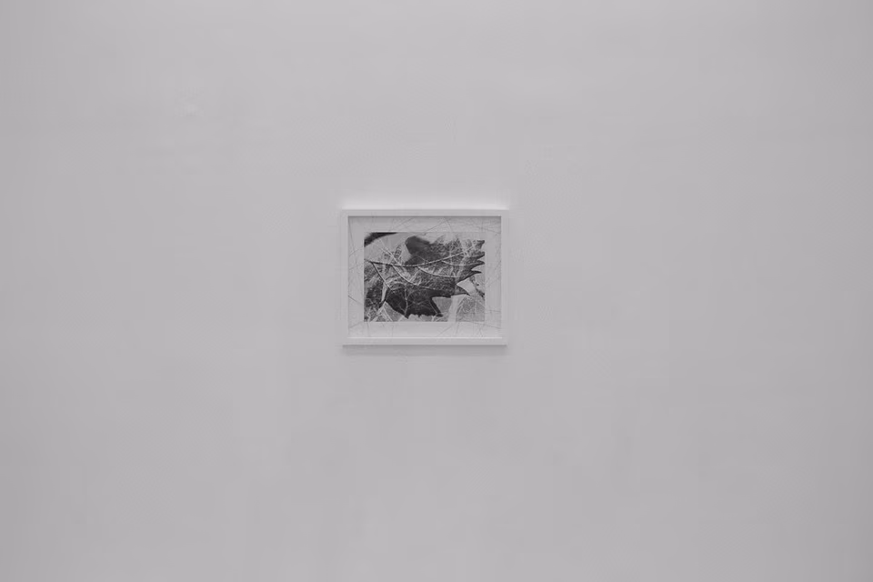 Multiple exposures of leaves, with overlying thread as interference from photographic digital media, art installation detail, 2017