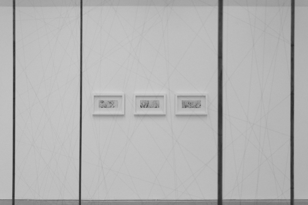 Multiple exposures using angiograms to create woodland and wooded landscapes using digital media, art installation detail, 2017